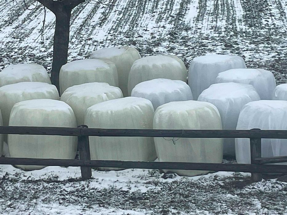 Sprzedam Sianokiszonkę 120x120