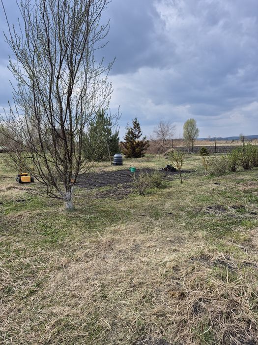 Sprzedam działkę rolną ze stawem  30 ar. - Widok 4