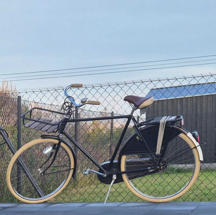 Rower Holenderski Base 28 cali