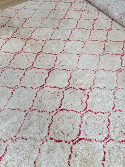 Kerman Rug in Red Pattern