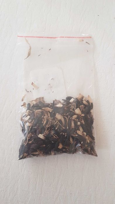 Słonecznik mini nasiona