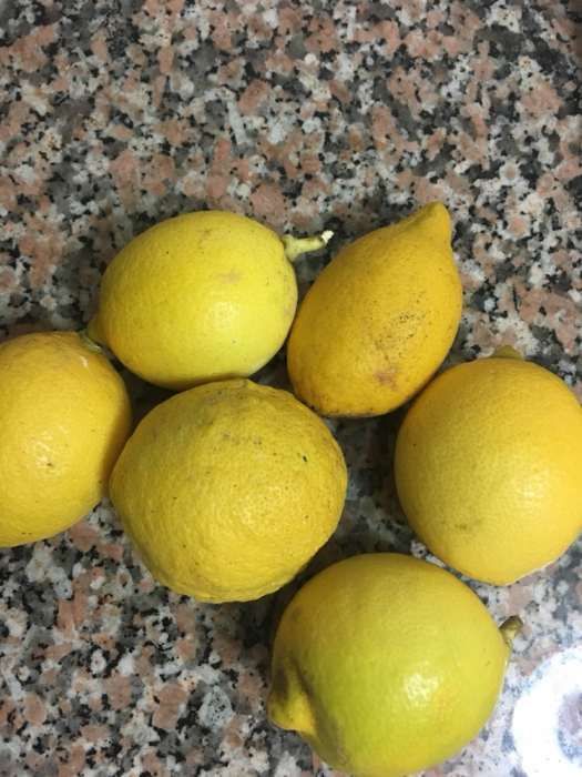 Vendo limões biológicos