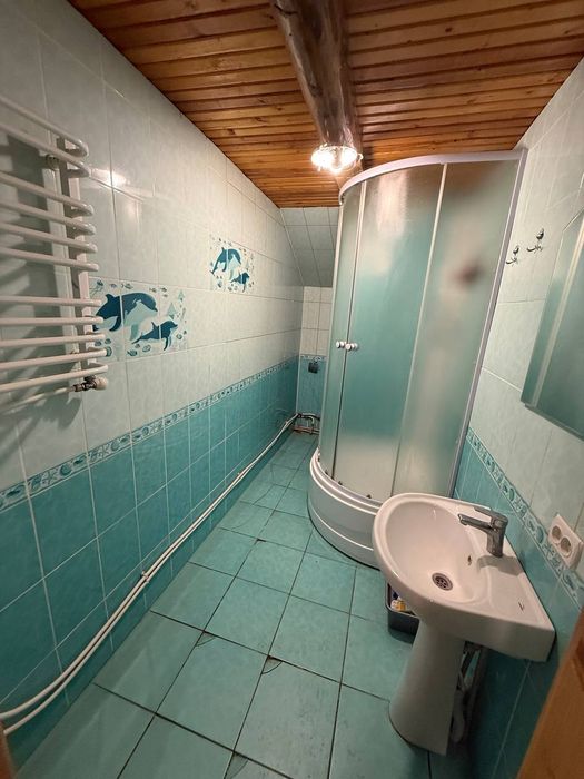 Котедж в Карпатах "Роси Карпат"