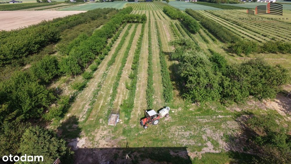 Poniatowa Kolonia 4ha działka siedliskowo-rolna