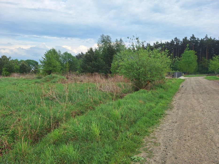Działka Żołędowo , Sprzedam działkę 1000 m2 ul. Sasankowa , ul. Krokusowa 1524 m2
