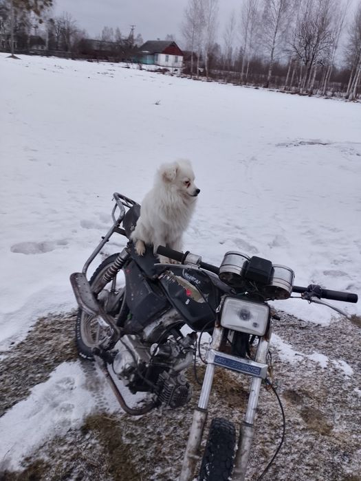 Продам мотоцикл альфа