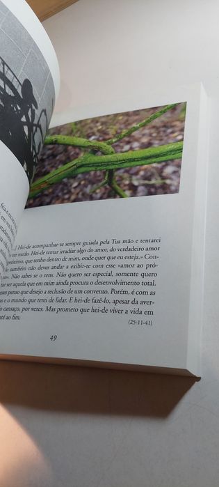 Nos Passos de Etty Hillesum - Filipe Condado, José Tolentino Mendonça