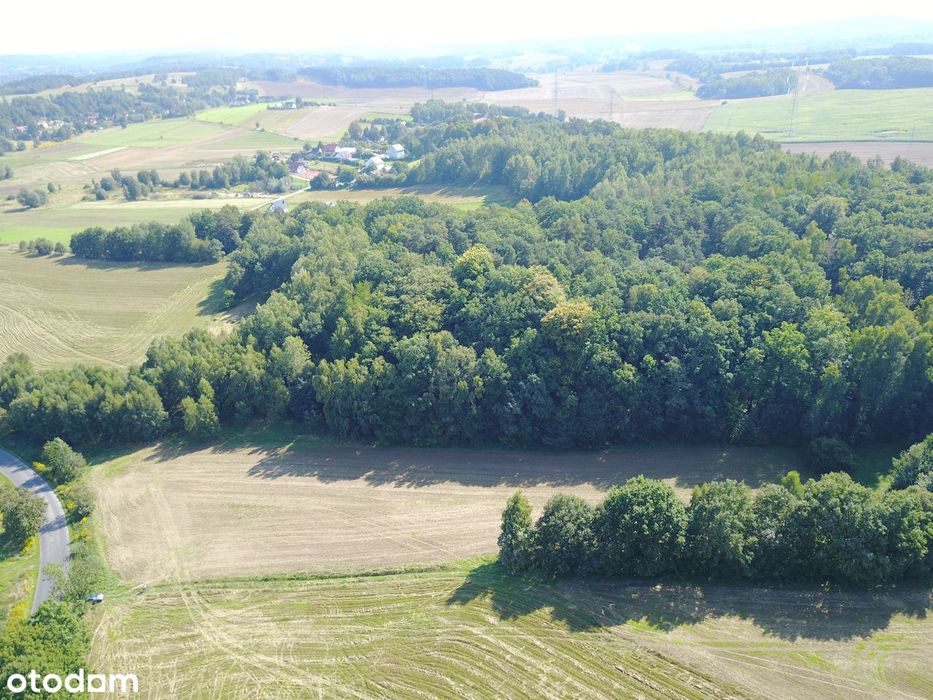 Działka, Radłówka, Lwówek śląski