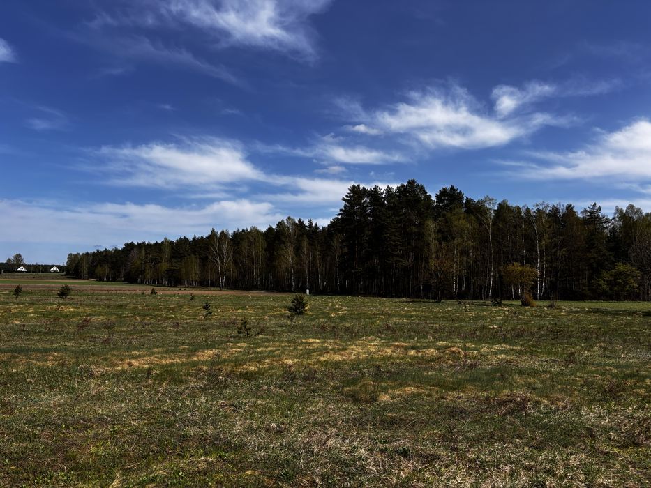 Działka budowlana 1236 m² | Kłączno | Warunki zabudowy | Ogrodzona | Blisko jeziora - Ansicht 3