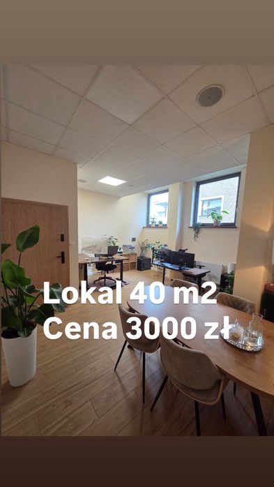 Lokal do wynajęcia Pod dowolny biznes faktoria