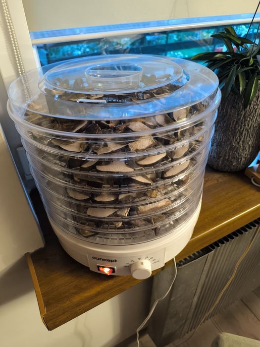 Grzyby suszone. Borowiki, podgrzybki