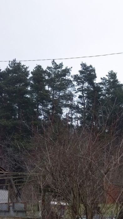 Ділянка Клепарів