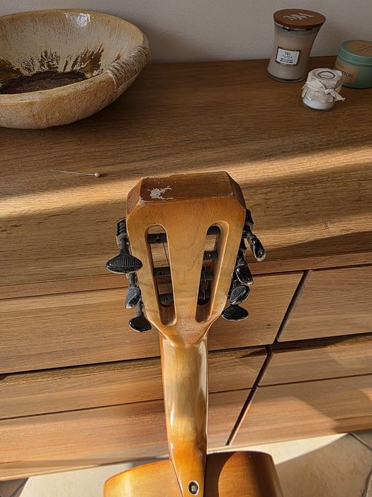 Gitara akustyczna 7 strunowa