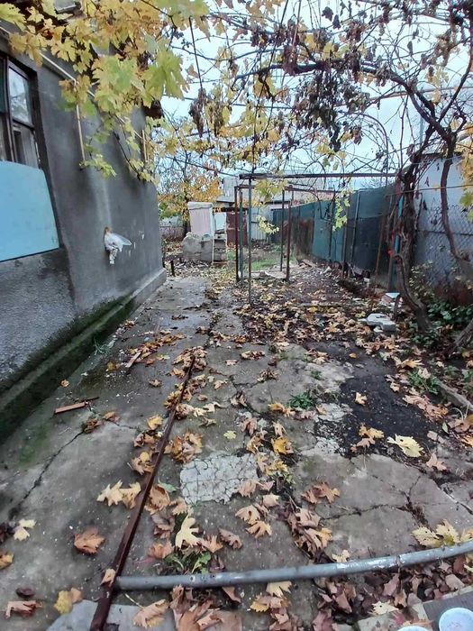 Продам дом в черте города