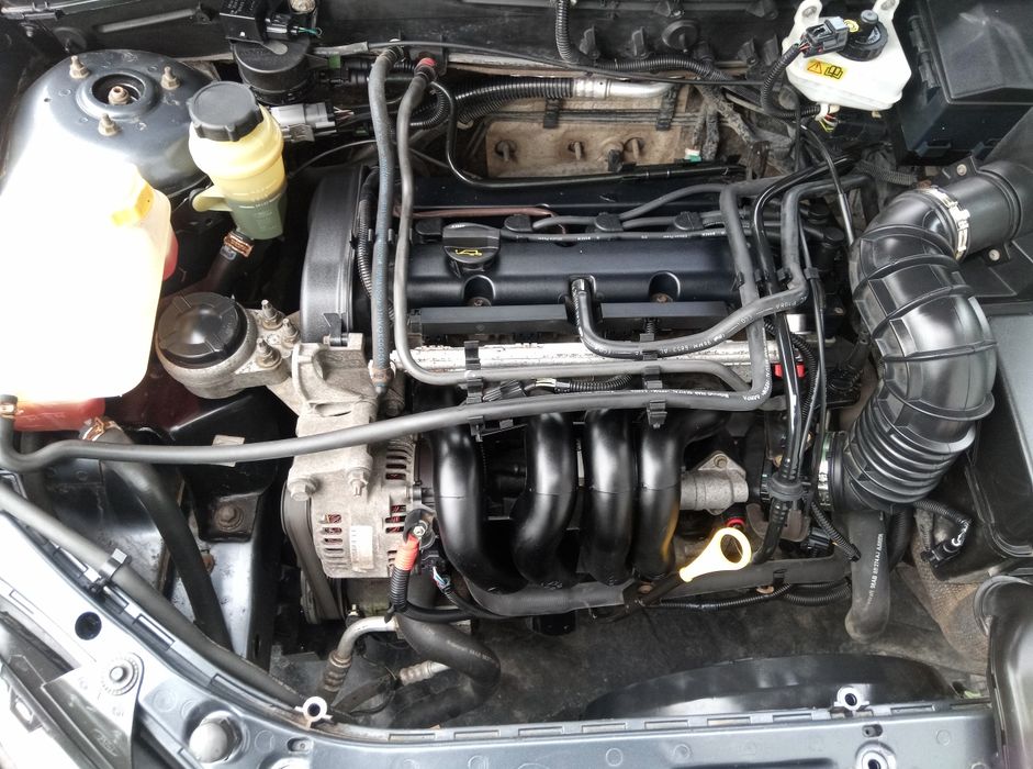 Ford focus 2004 року