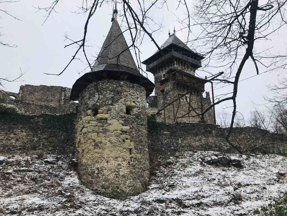 Вікенд на Закарпатті: замки, гарячі джерела  та буйволина ферма.