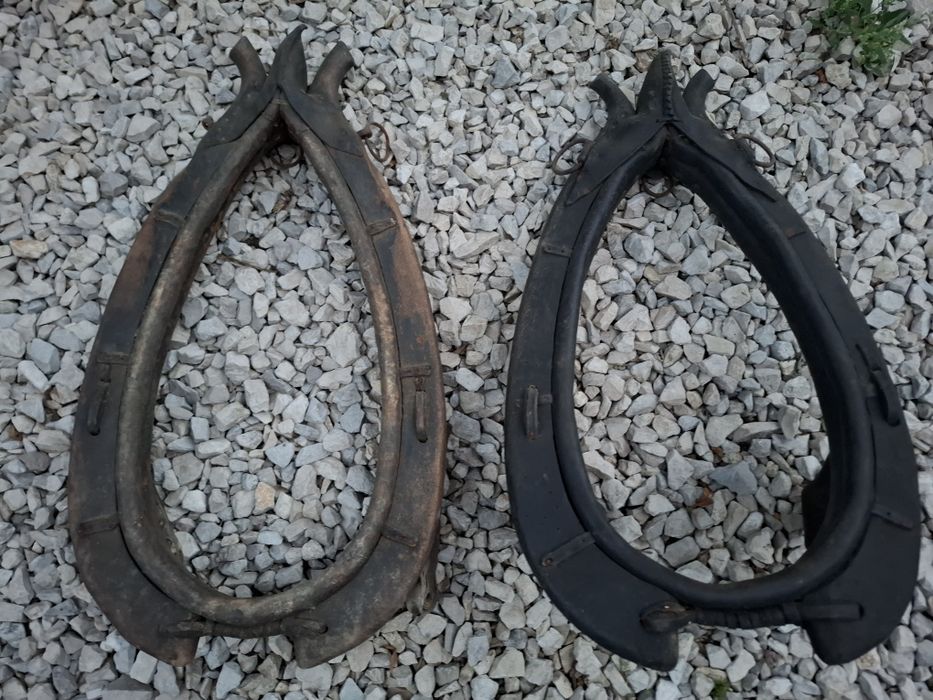 Homonta chomonta homonto