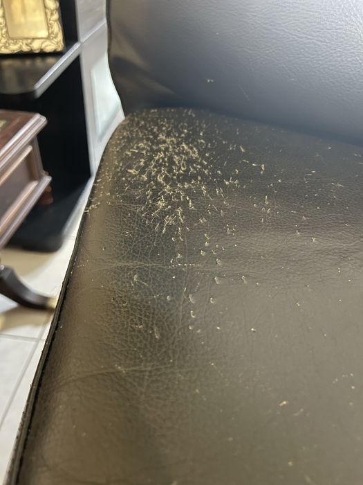 Sofa de 2 lugares