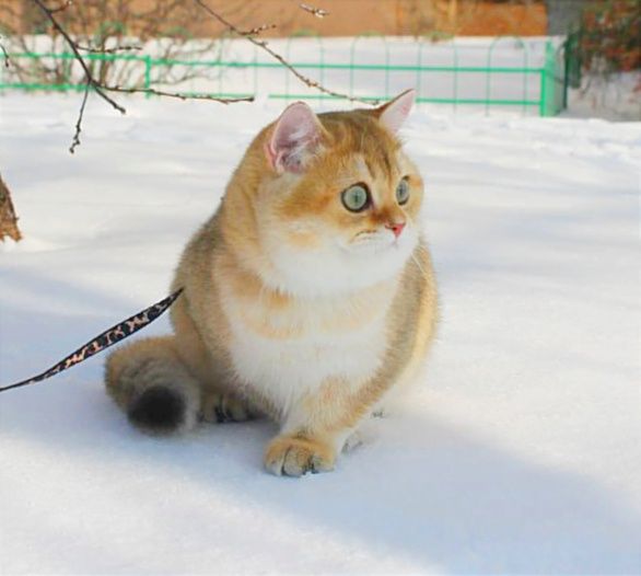 Шикарний хлопчик чекає найкращу маму