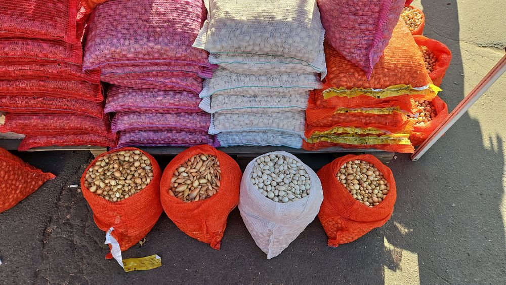 Лук Тиканка Арпаж Голландія