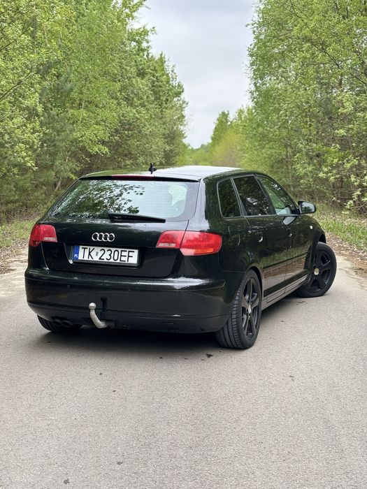 Audi A3 8P 2.0 TDI