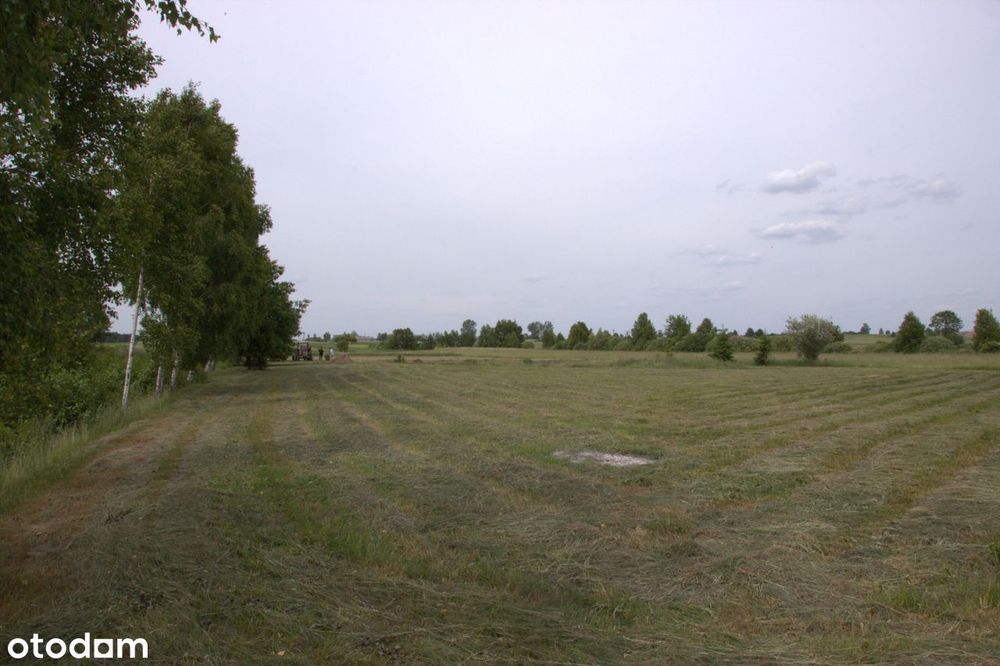 Piękna działka 7800m2 z WZ i stawem! Modrzewie, gm. Szczutowo