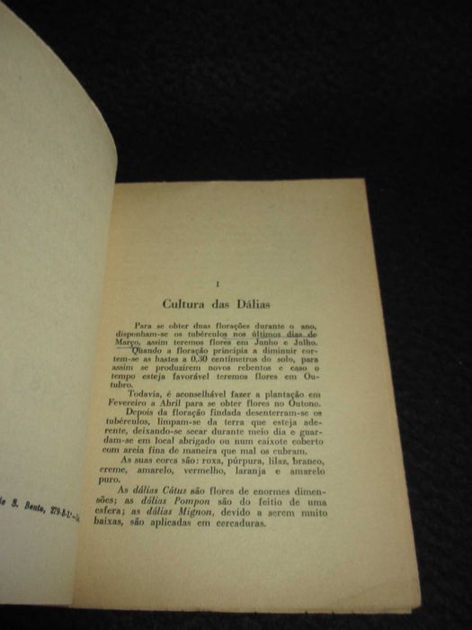 Livro Dálias Cravos Rosas e Crisântemos Júlio de Vasconcelos