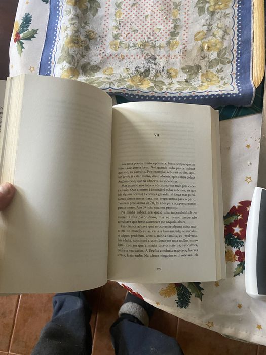 Livro Tambem Ha finais felizes Fernanda Serrano