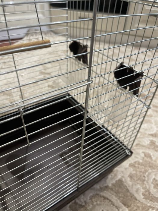 Клітка для папуг