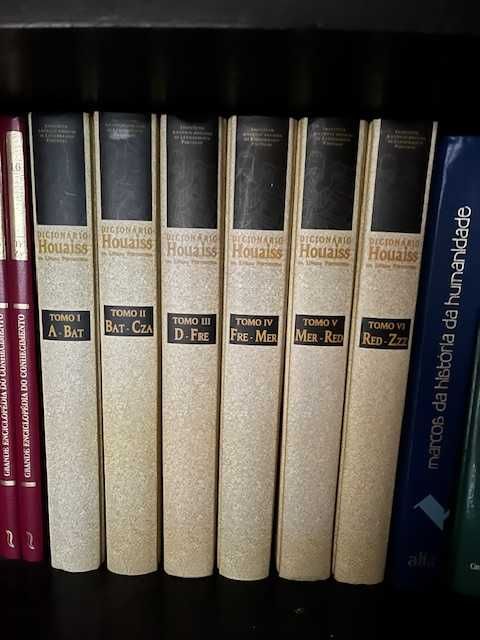Dissionário Houaiss - 6 volumes