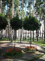 39,3м.кв. Квартира+ лоджия з розвинутою інфраструктурою.