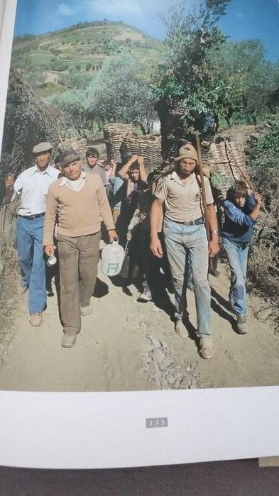 Douro - Antonio Barreto