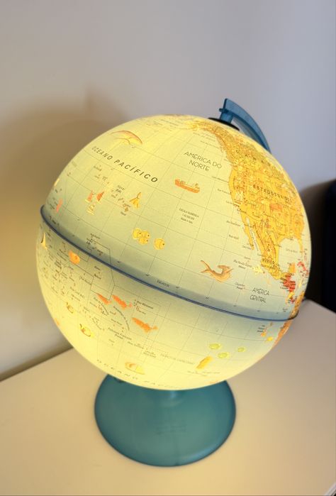 Globo Terrestre Infantil Educativo com Iluminação