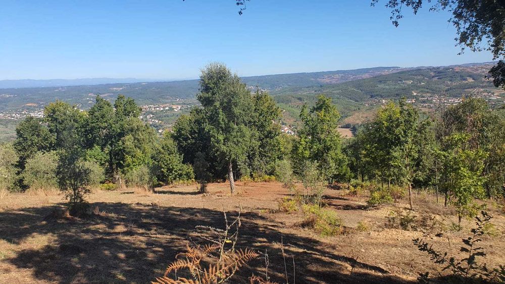 Terreno 1,2 ha com viabilidade de construção – Esculca