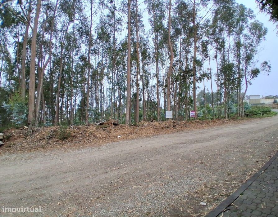 Terreno para construção em Escapães.