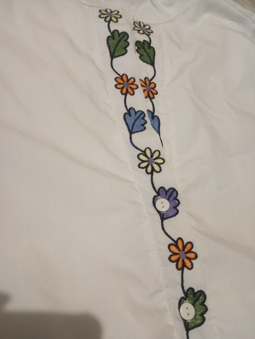 Стильна сукня вишиванка