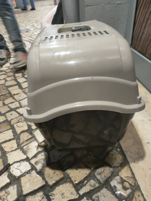 Casa para gatos em bom estado