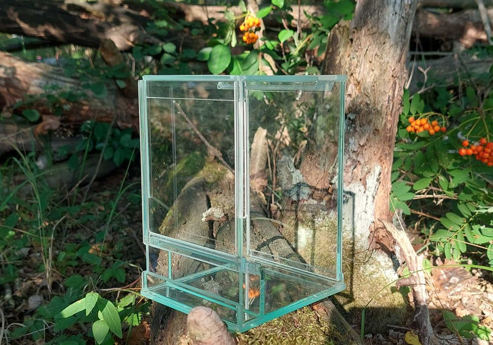 Profesjonalne terrarium 10x10x15cm szkło potrójna wentylacja EKO
