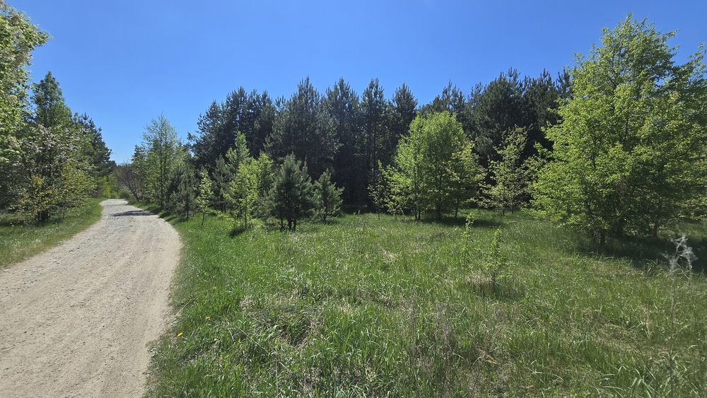 Дениші 17,5 сот. під забудову.(26161757)