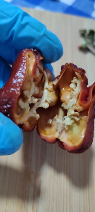 Sementes Nucleares Pimentas,OFERTA Portes Envio