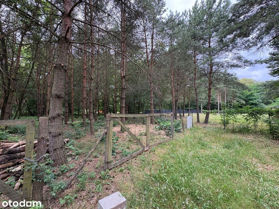 Działka budowlana 1505 m² , ogrodzona, prąd, Wężyk, gmina Grodzisk Maz