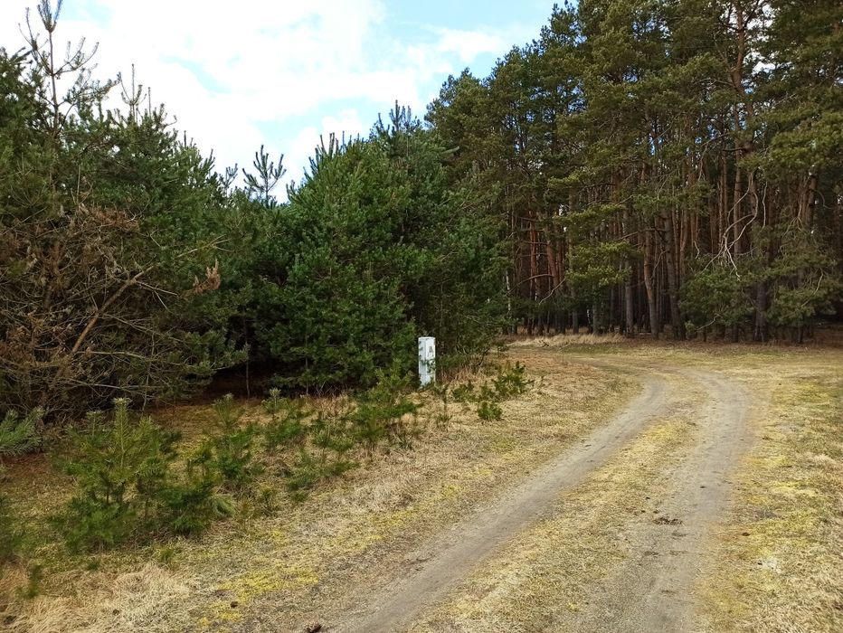 Rakowo działka budowlana