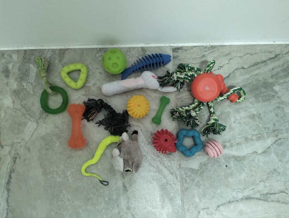 Игрушки для собак