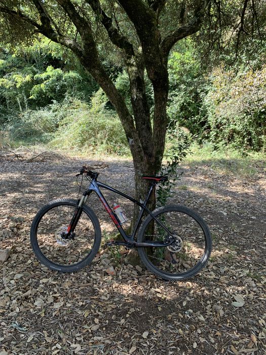 Vendo coluer nucleos carbono 29
