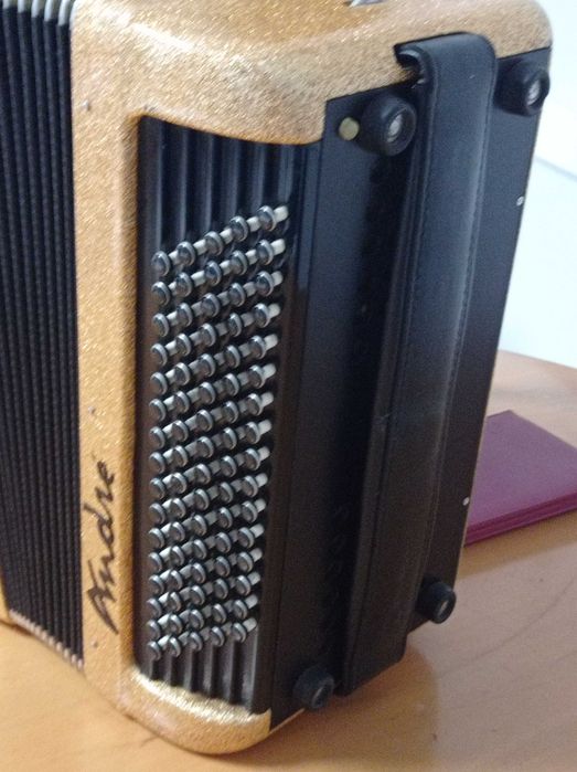 Maugein Accordion / Accordion with MIDI64585739525249123