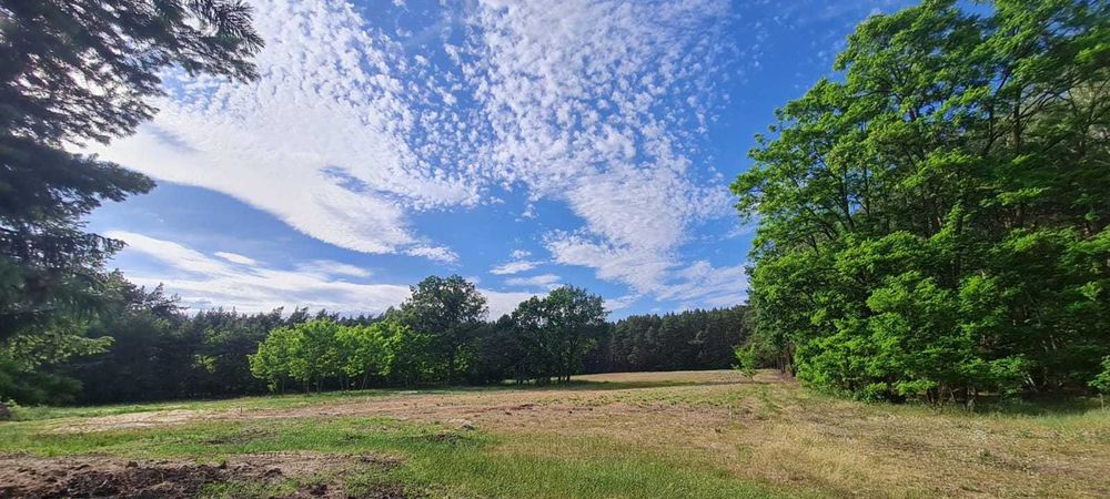 DZIAŁKA BUDOWLANA | BLISKO LASU | nr 115/3 | Borek | Sulechów | LUBUSKIE