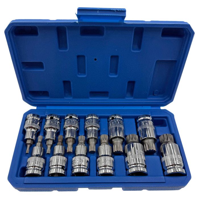Набір головок біт SPLINE  M4-M20 12 шт Falon - Tech FT01222