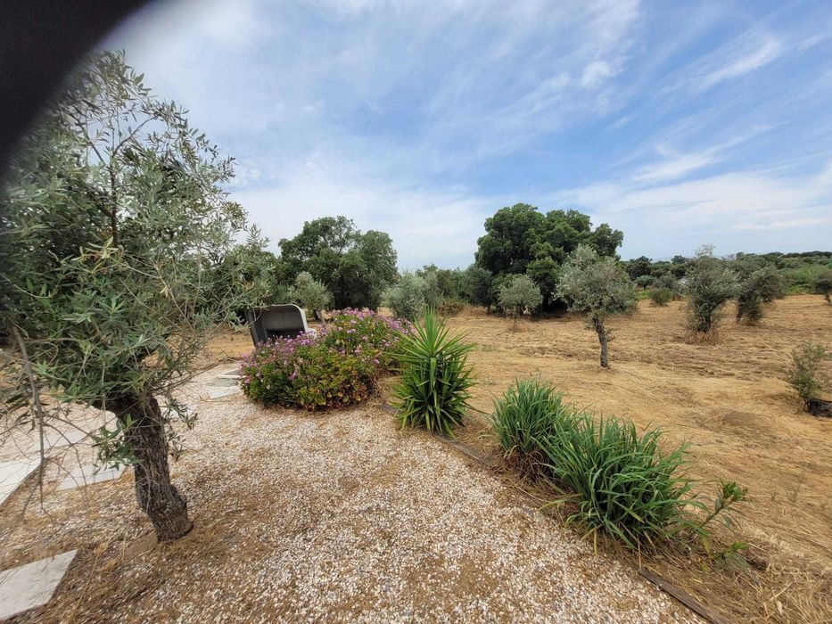 Conheça a quinta com que sempre sonhou.