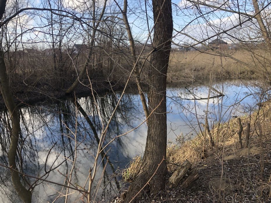 Земельна ділянка від власника 55 соток під будівництво с.Шипинці