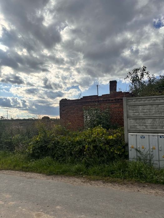 Zdjęcie 3